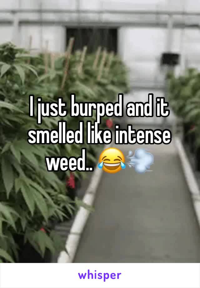 I just burped and it smelled like intense weed.. 😂💨