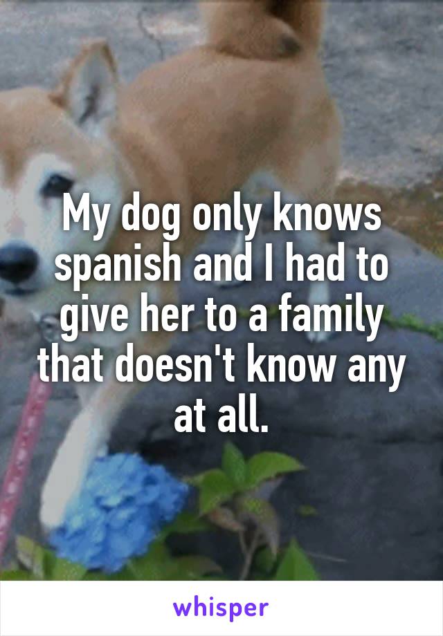My dog only knows spanish and I had to give her to a family that doesn't know any at all.