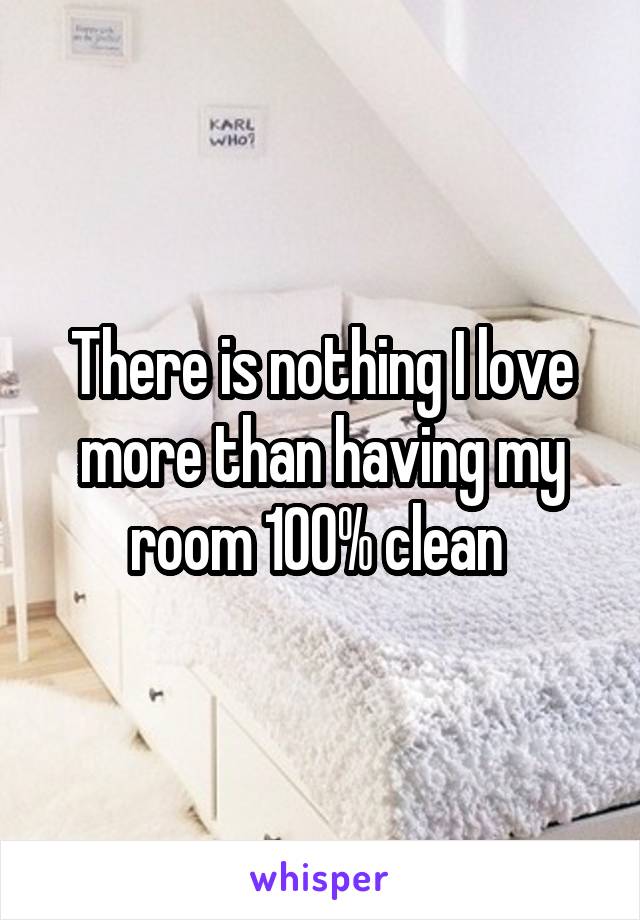 There is nothing I love more than having my room 100% clean 
