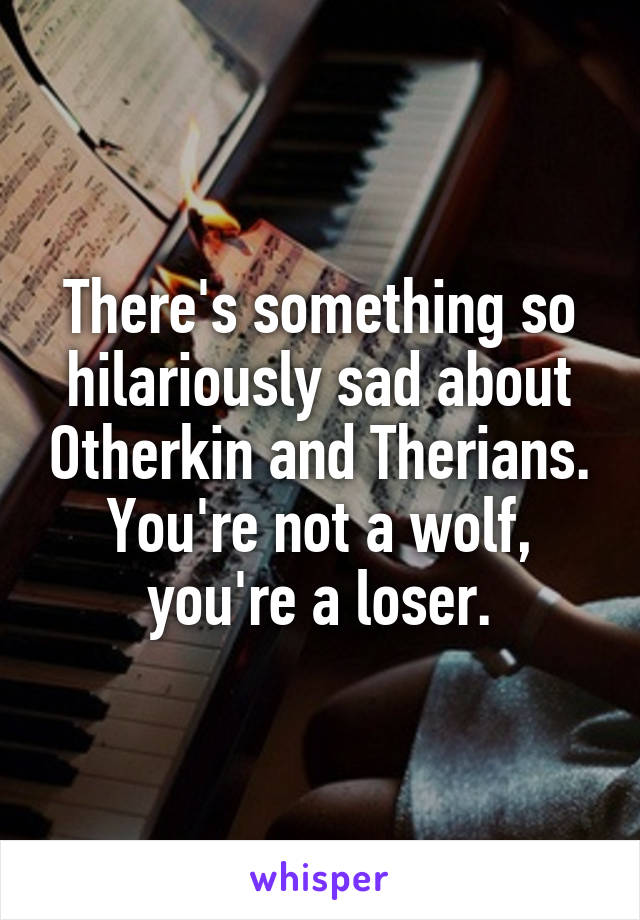 There's something so hilariously sad about Otherkin and Therians. You're not a wolf, you're a loser.
