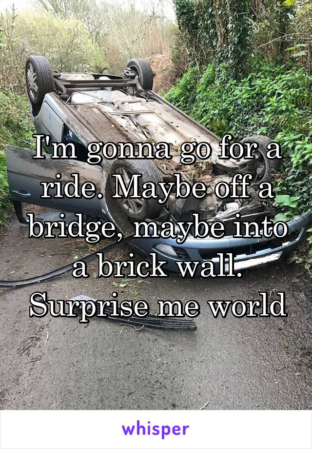 I'm gonna go for a ride. Maybe off a bridge, maybe into a brick wall. Surprise me world