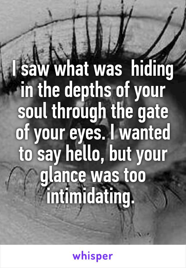 I saw what was  hiding in the depths of your soul through the gate of your eyes. I wanted to say hello, but your glance was too intimidating. 