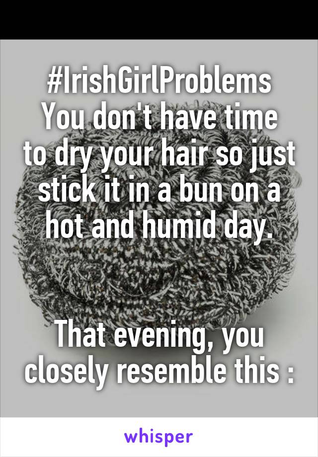 #IrishGirlProblems
You don't have time to dry your hair so just stick it in a bun on a hot and humid day.


That evening, you closely resemble this :