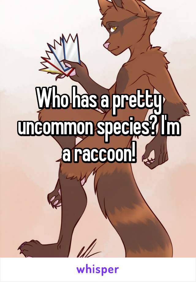 Who has a pretty uncommon species? I'm a raccoon!
