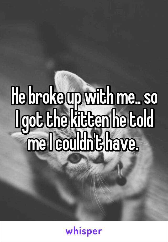 He broke up with me.. so I got the kitten he told me I couldn't have. 