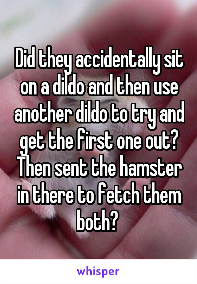 Did they accidentally sit on a dildo and then use another dildo to try and get the first one out? Then sent the hamster in there to fetch them both? 