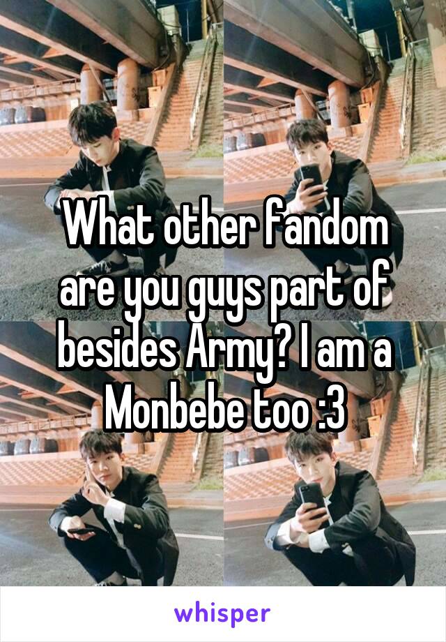 What other fandom are you guys part of besides Army? I am a Monbebe too :3
