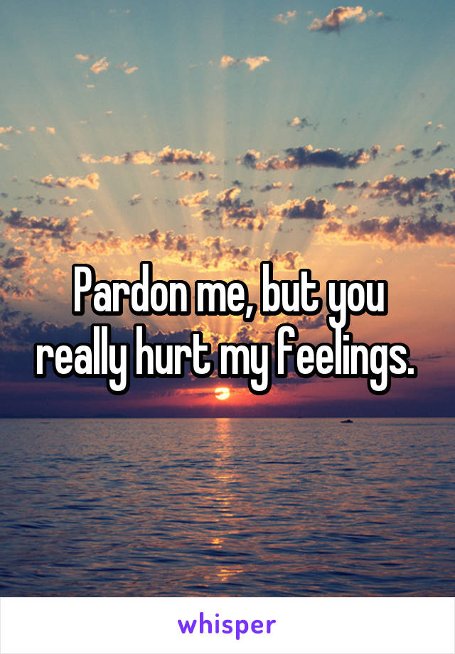 Pardon me, but you really hurt my feelings. 