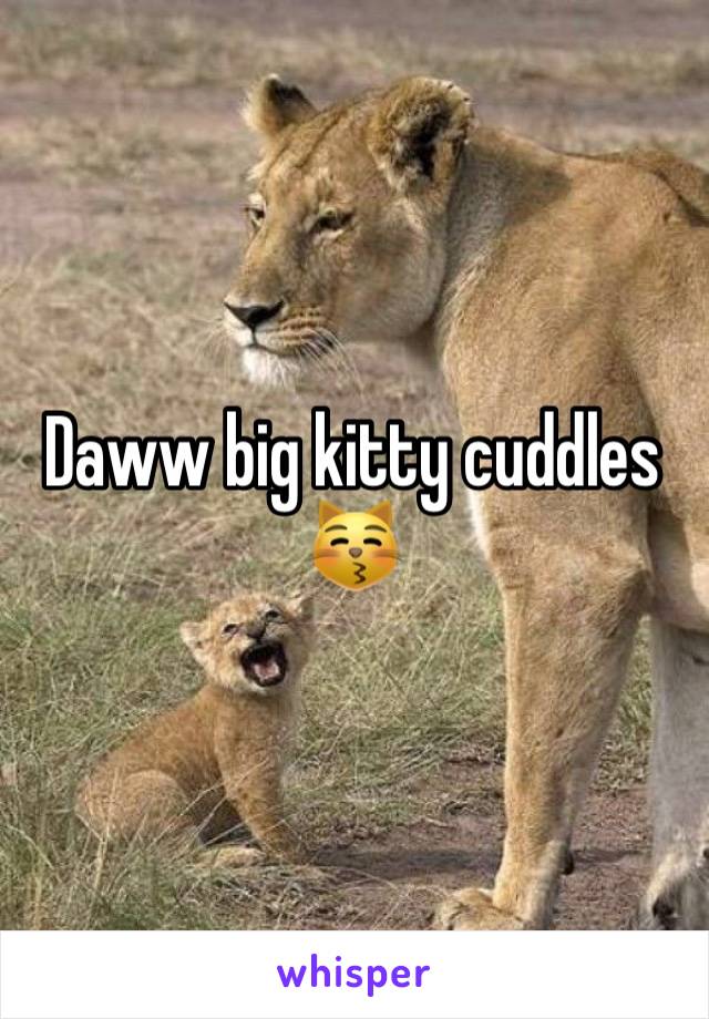 Daww big kitty cuddles 😽