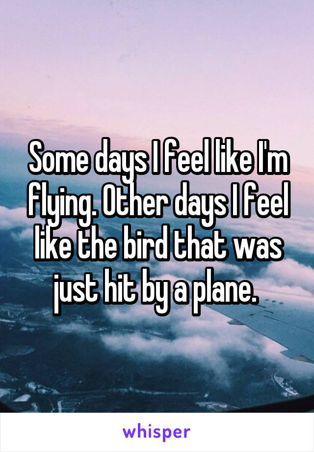 Some days I feel like I'm flying. Other days I feel like the bird that was just hit by a plane. 