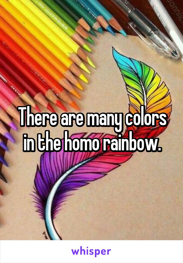 There are many colors in the homo rainbow.