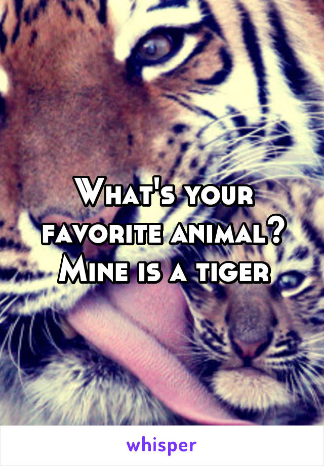 What's your favorite animal? Mine is a tiger