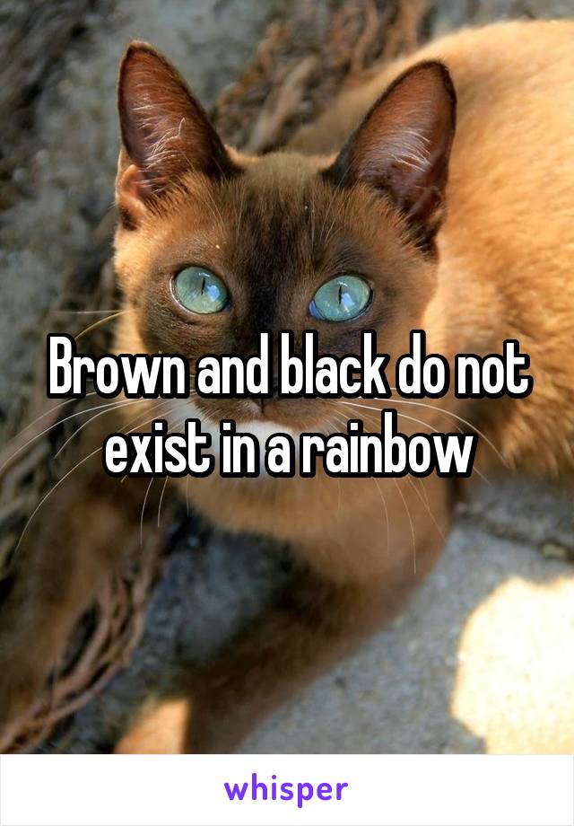 Brown and black do not exist in a rainbow