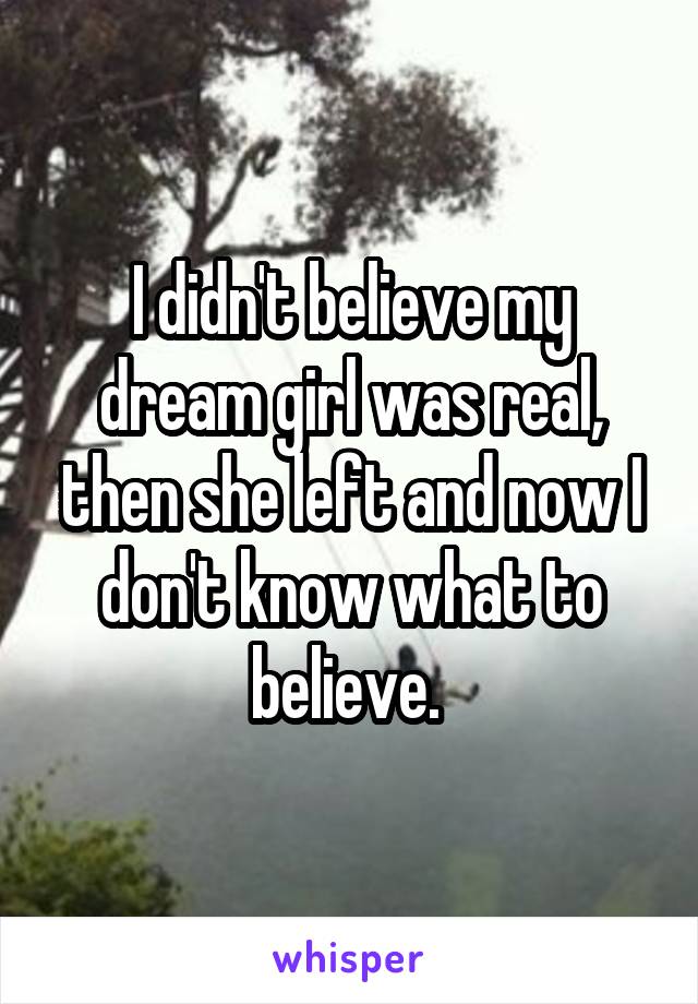 I didn't believe my dream girl was real, then she left and now I don't know what to believe. 