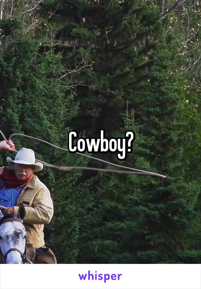 Cowboy?