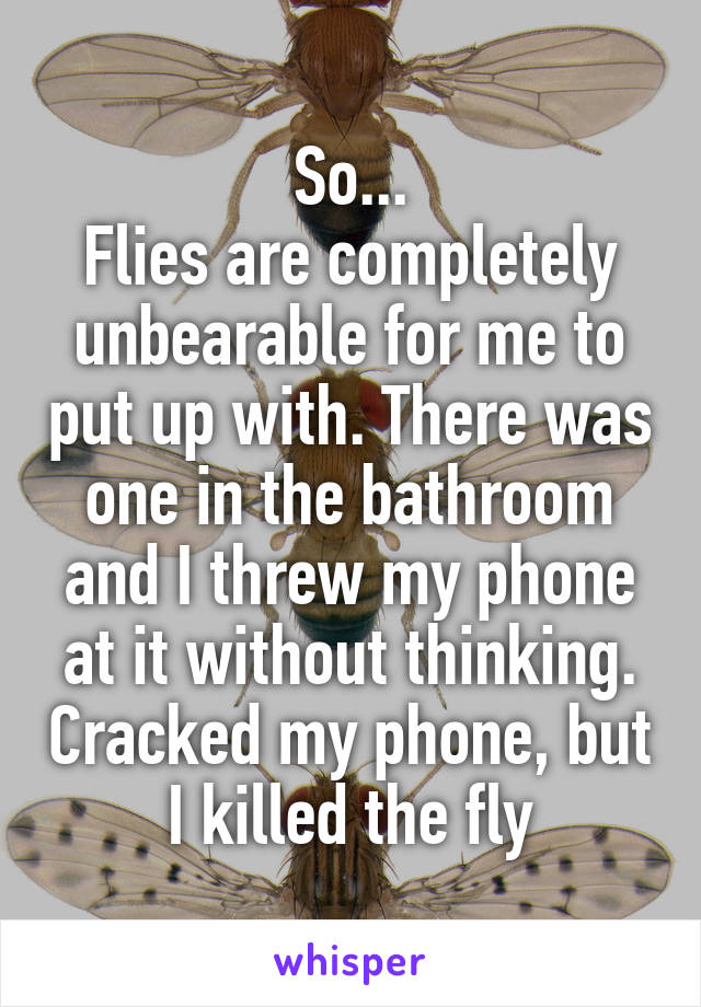 So...
Flies are completely unbearable for me to put up with. There was one in the bathroom and I threw my phone at it without thinking. Cracked my phone, but I killed the fly