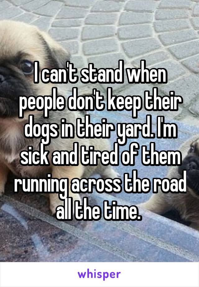 I can't stand when people don't keep their dogs in their yard. I'm sick and tired of them running across the road all the time. 