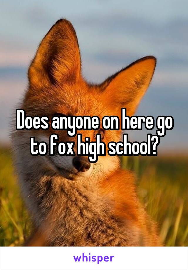 Does anyone on here go to fox high school?