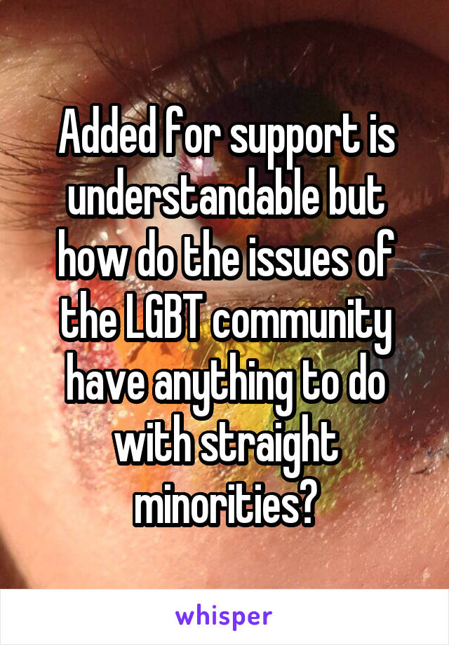 Added for support is understandable but how do the issues of the LGBT community have anything to do with straight minorities?