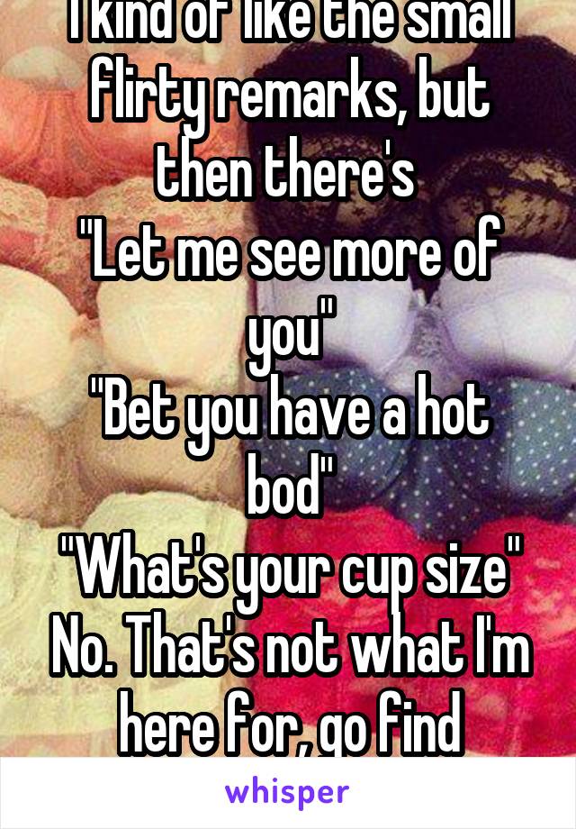 I kind of like the small flirty remarks, but then there's 
"Let me see more of you"
"Bet you have a hot bod"
"What's your cup size"
No. That's not what I'm here for, go find someone else.