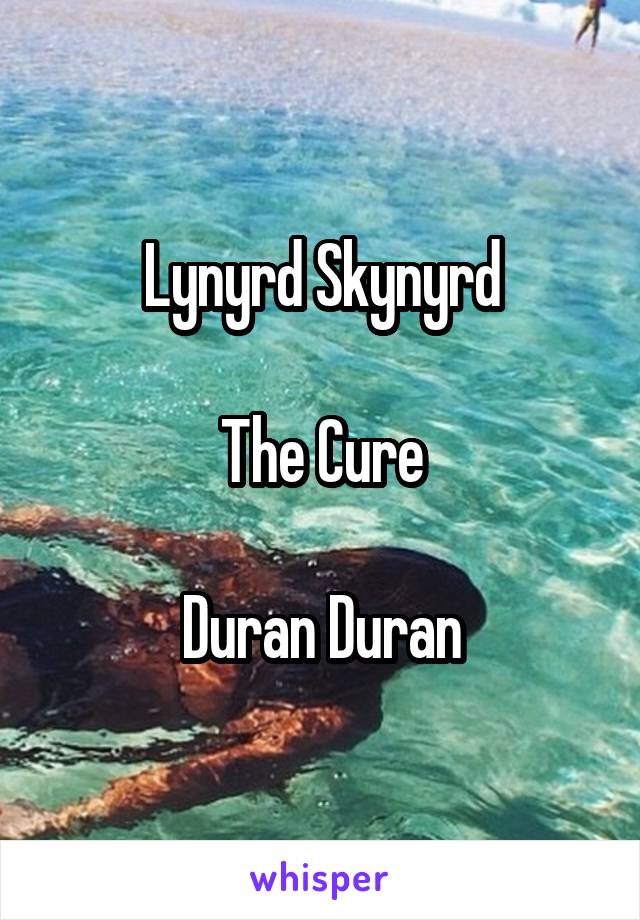 Lynyrd Skynyrd

The Cure

Duran Duran