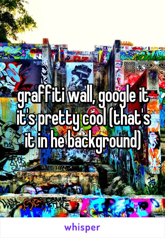 graffiti wall, google it it's pretty cool (that's it in he background)