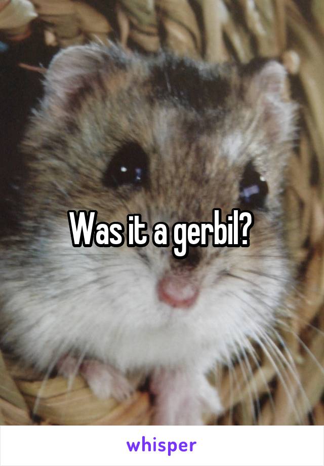 Was it a gerbil? 