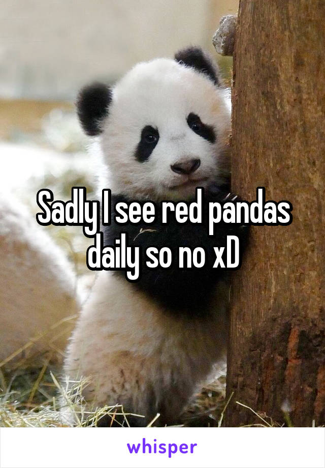 Sadly I see red pandas daily so no xD