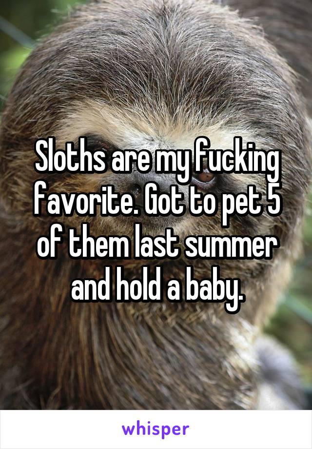 Sloths are my fucking favorite. Got to pet 5 of them last summer and hold a baby.
