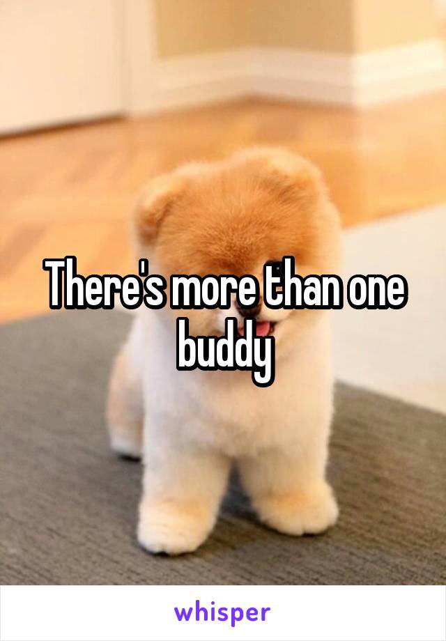 There's more than one buddy