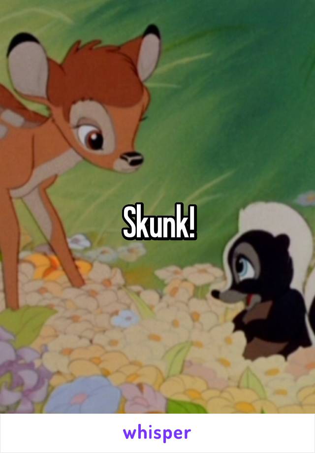 Skunk!