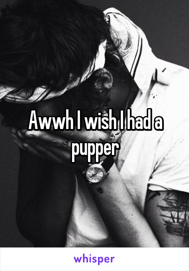 Awwh I wish I had a pupper