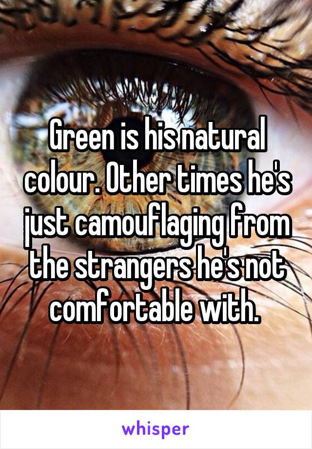 Green is his natural colour. Other times he's just camouflaging from the strangers he's not comfortable with. 