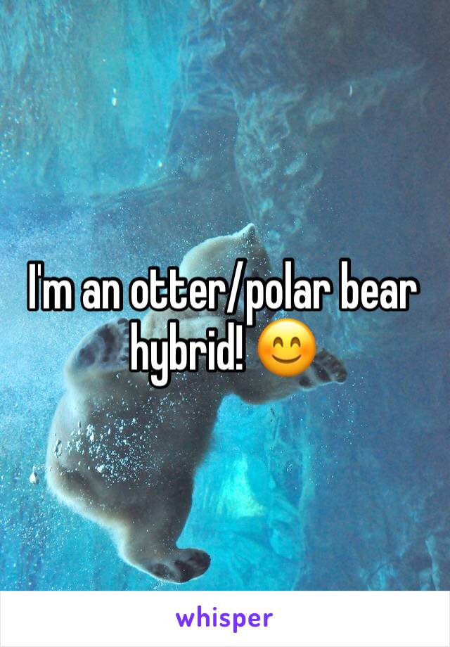 I'm an otter/polar bear hybrid! 😊