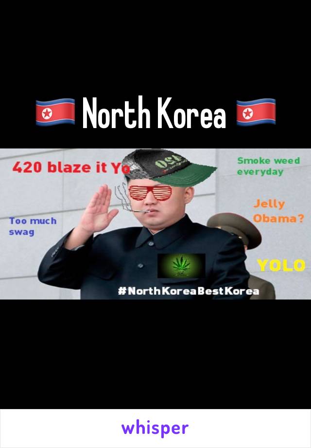 🇰🇵 North Korea 🇰🇵




