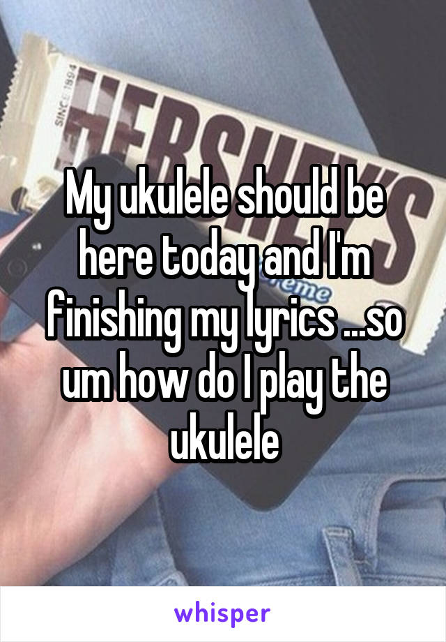 My ukulele should be here today and I'm finishing my lyrics ...so um how do I play the ukulele