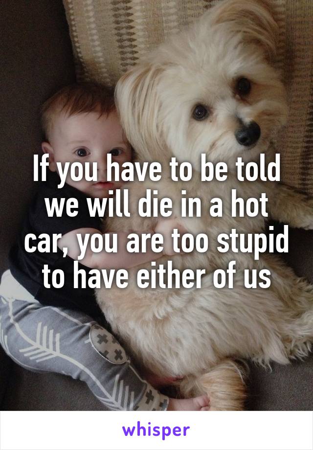 If you have to be told we will die in a hot car, you are too stupid to have either of us