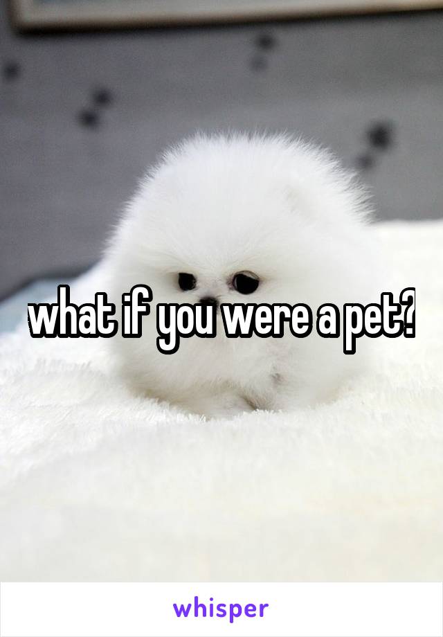 what if you were a pet?