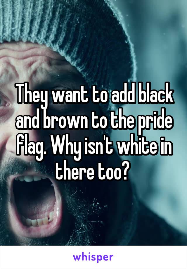 They want to add black and brown to the pride flag. Why isn't white in there too? 