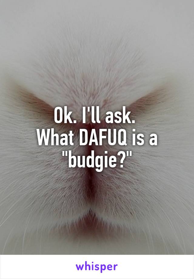 Ok. I'll ask. 
What DAFUQ is a "budgie?"
