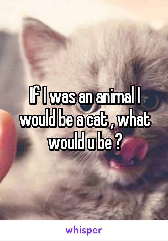 If I was an animal I would be a cat , what would u be ?