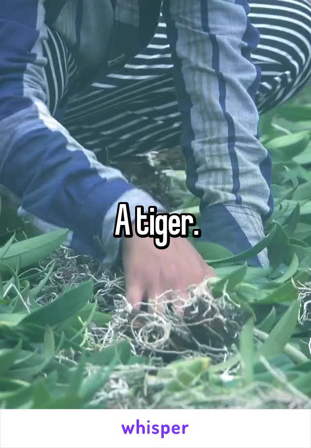 A tiger.