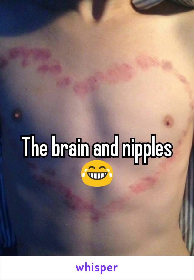 The brain and nipples
😂