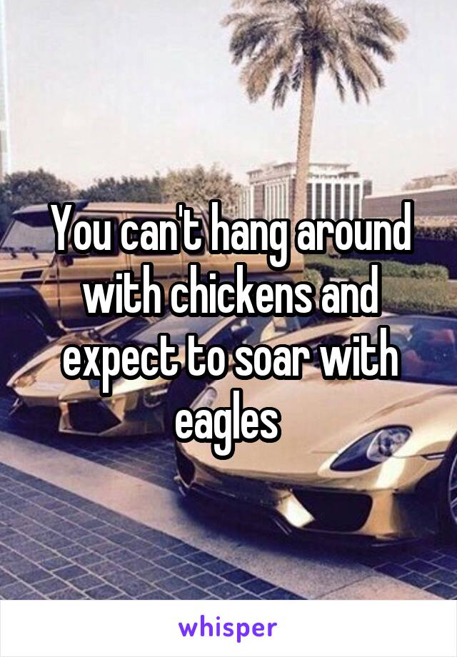 You can't hang around with chickens and expect to soar with eagles 