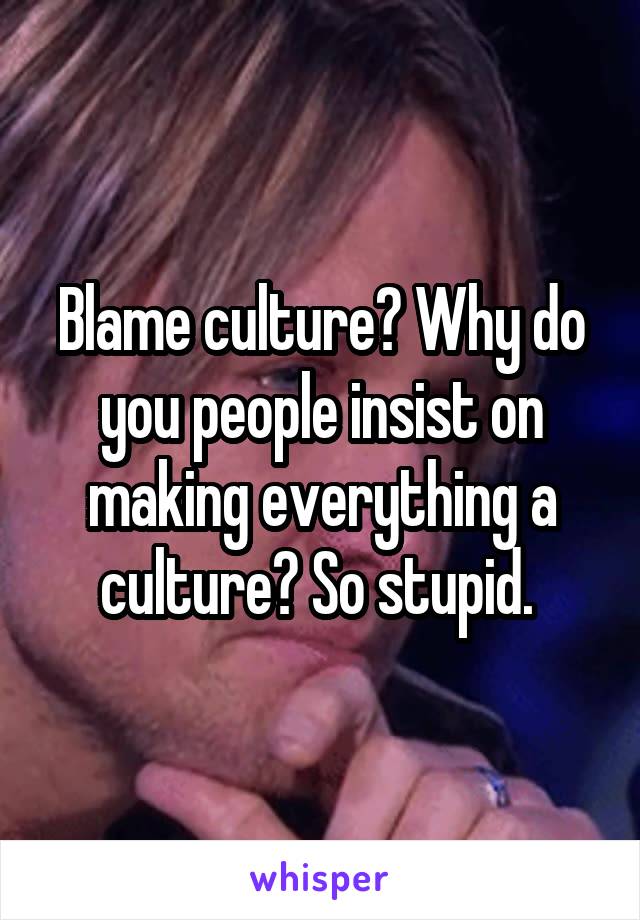 Blame culture? Why do you people insist on making everything a culture? So stupid. 