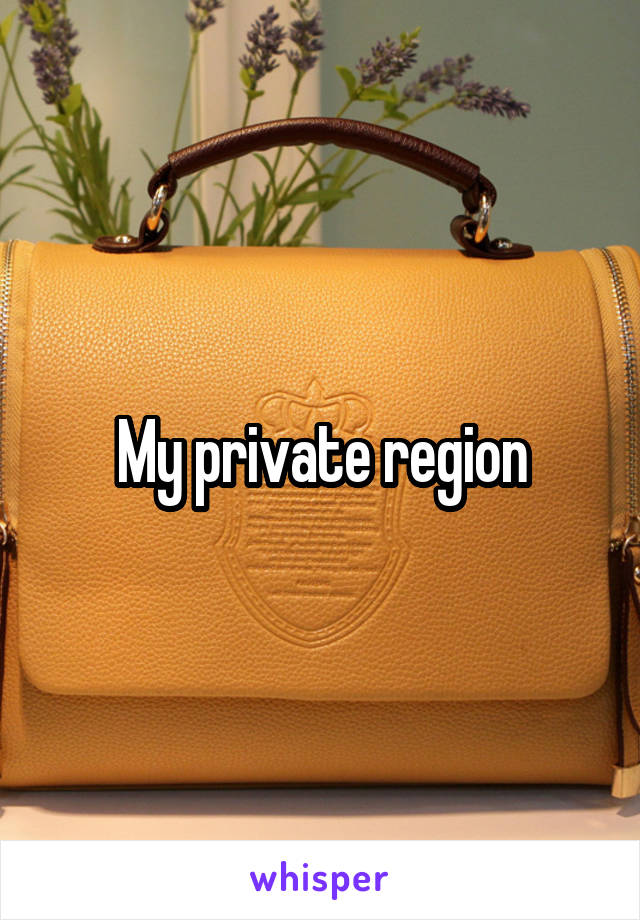 My private region