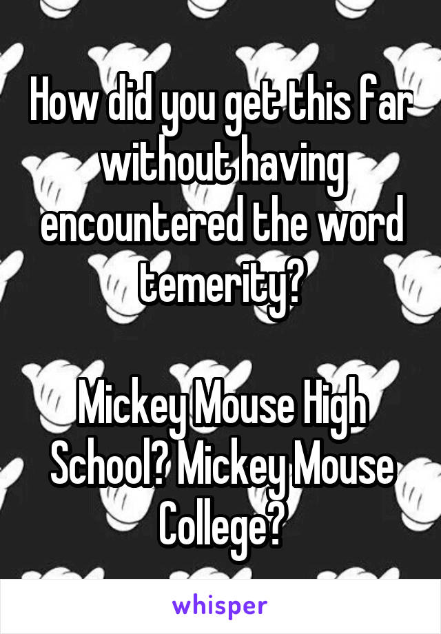 How did you get this far without having encountered the word temerity?

Mickey Mouse High School? Mickey Mouse College?