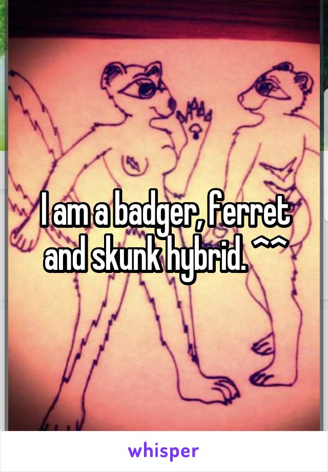 I am a badger, ferret and skunk hybrid. ^^