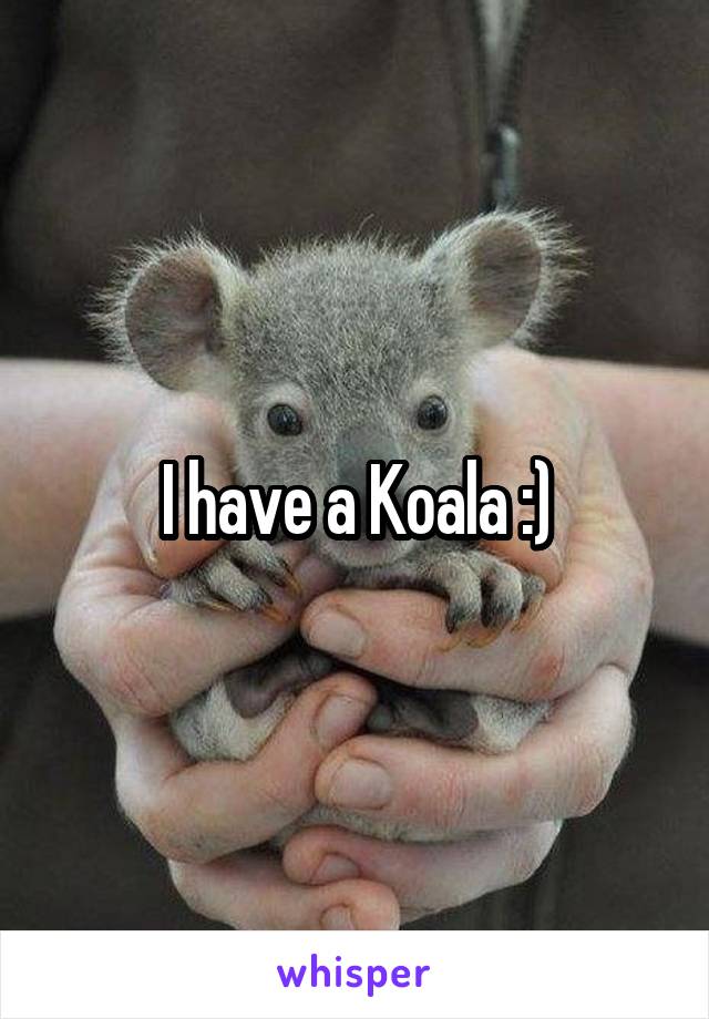 I have a Koala :)