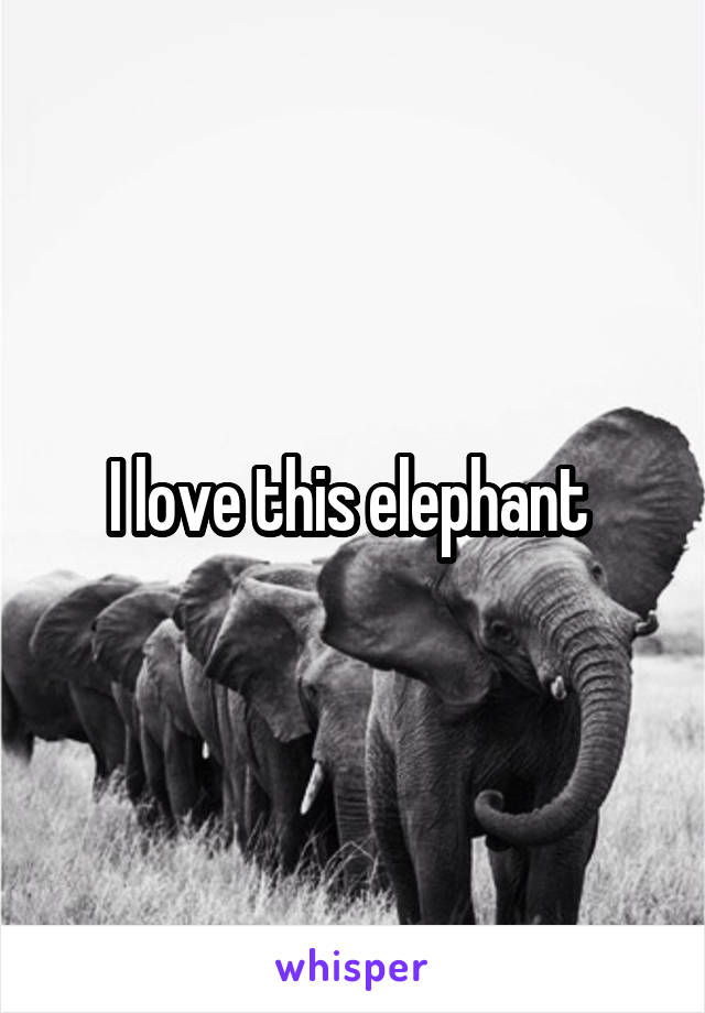 I love this elephant 